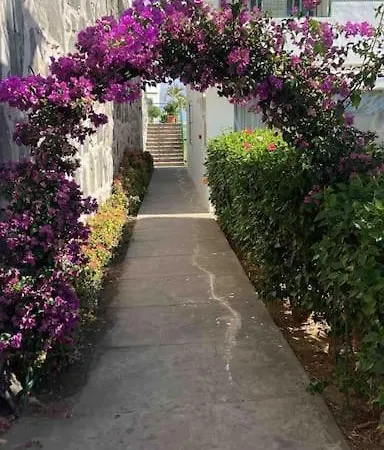 Vista Mar En Flamboyan - San Agustin Lejlighed San Bartolomé
